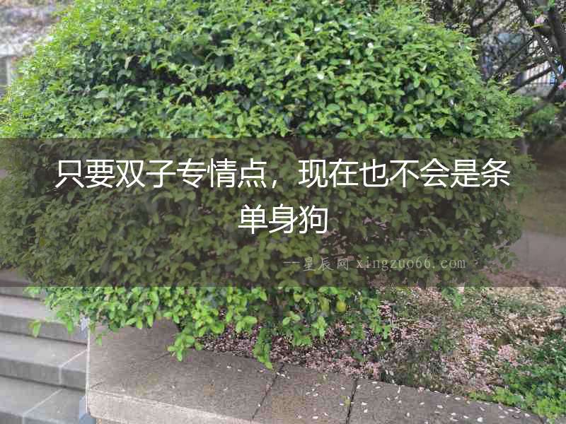 只要雙子專情點，現(xiàn)在也不會是條單身狗