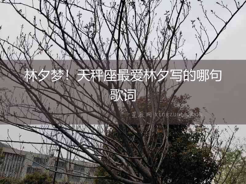 林夕夢！天秤座最愛林夕寫的哪句歌詞