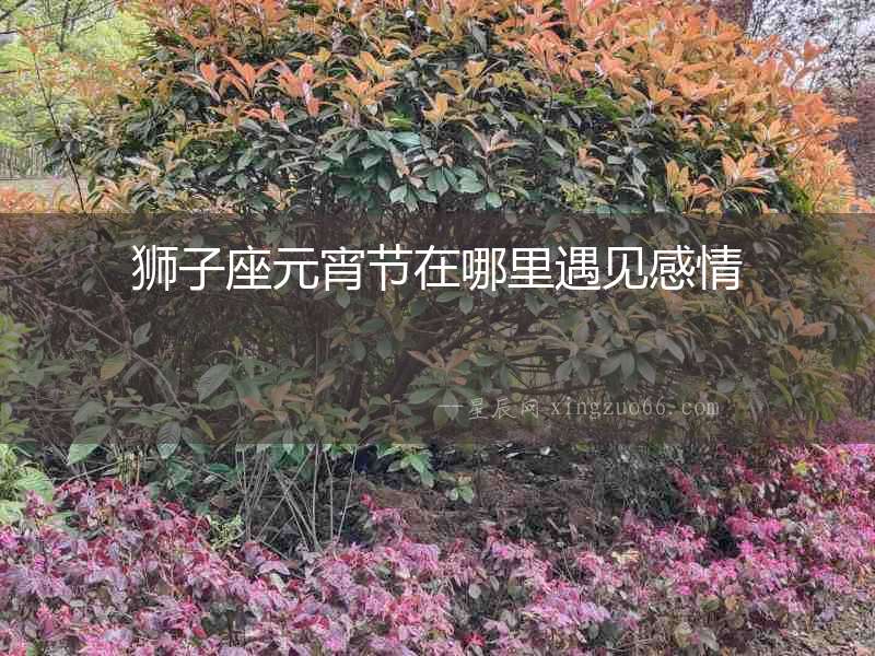 獅子座元宵節在哪里遇見感情