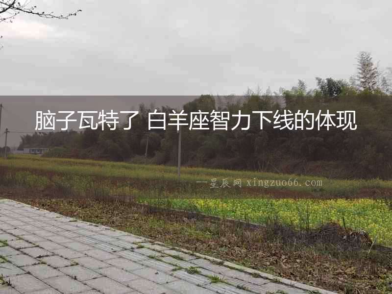 腦子瓦特了 白羊座智力下線的體現