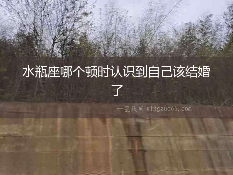 水瓶座哪個頓時認識到自己該結婚了