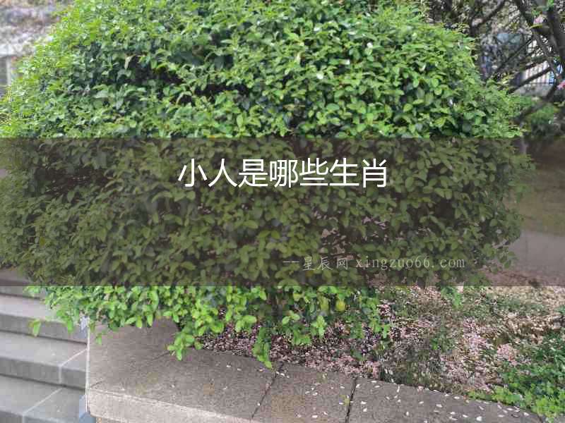 小人是哪些生肖