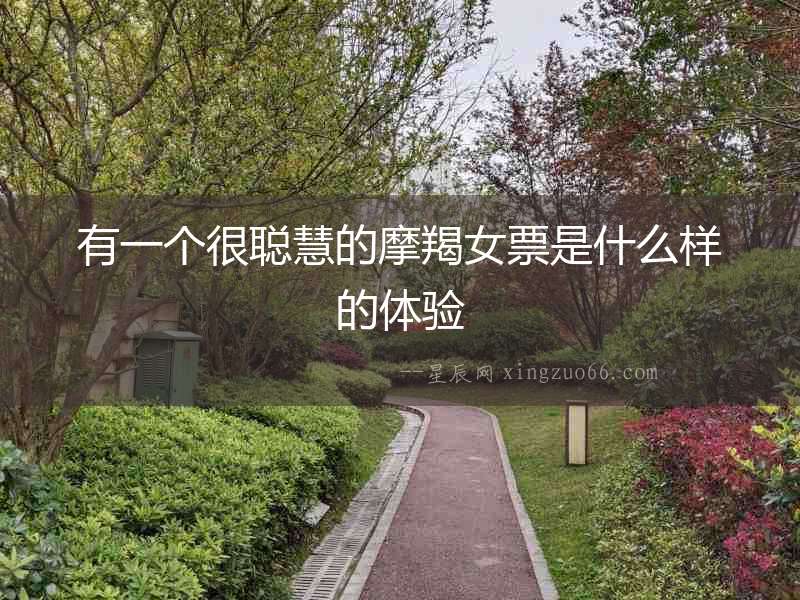 有一個很聰慧的摩羯女票是什么樣的體驗