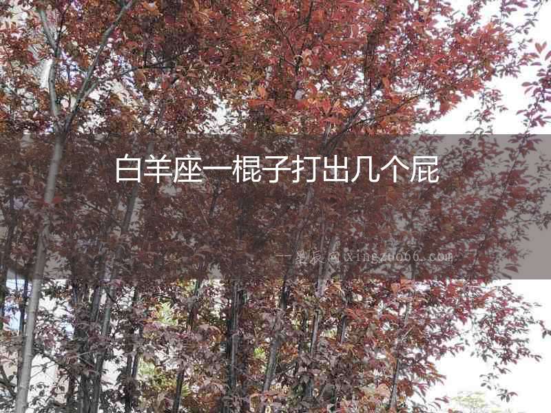 白羊座一棍子打出幾個屁