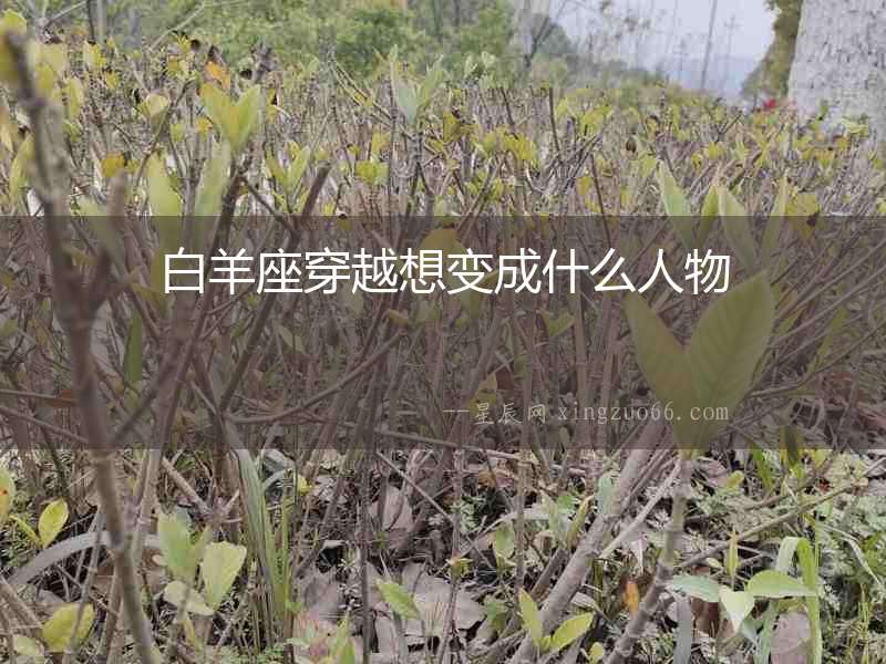 白羊座穿越想變成什么人物