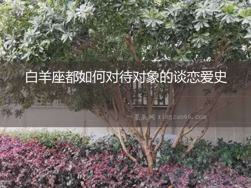 白羊座都如何對待對象的談戀愛史