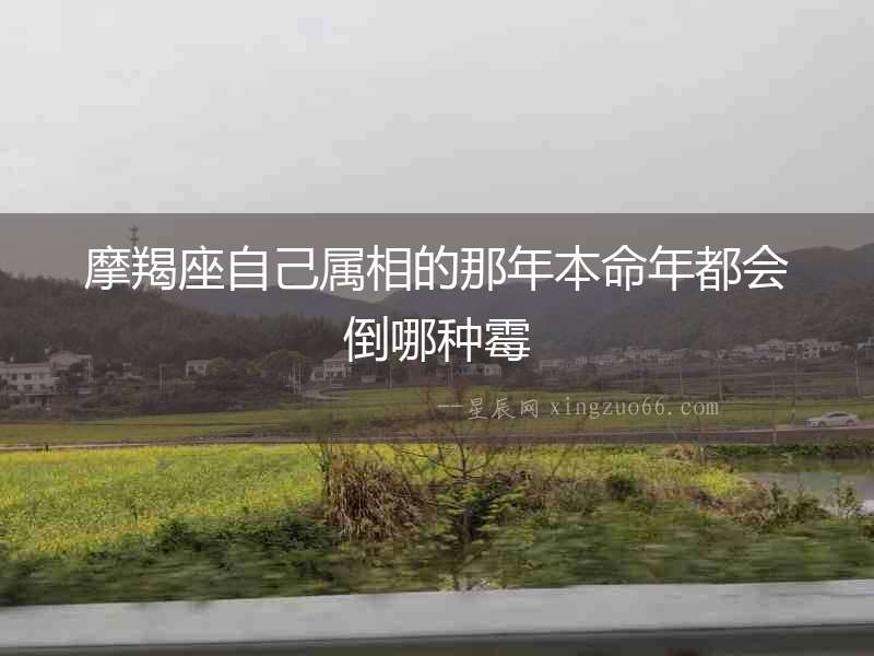 摩羯座自己屬相的那年本命年都會倒哪種霉