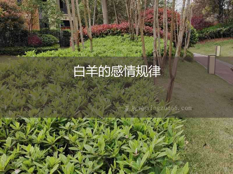 白羊的感情規(guī)律
