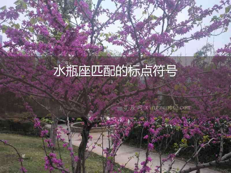 水瓶座匹配的標(biāo)點(diǎn)符號