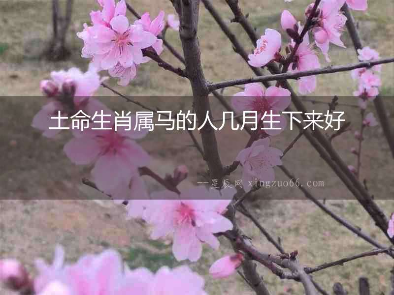 土命生肖屬馬的人幾月生下來好