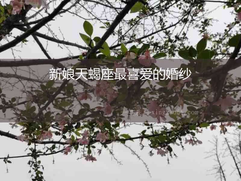 新娘天蝎座最喜愛的婚紗