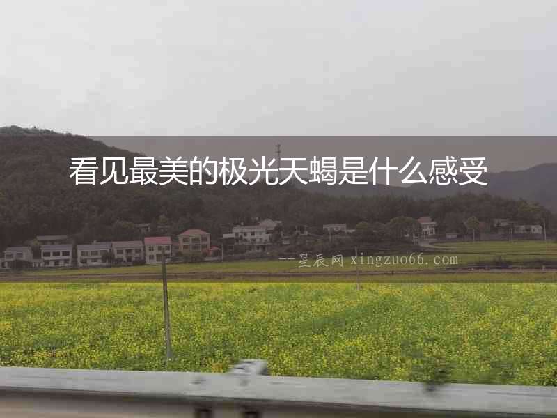 看見最美的極光天蝎是什么感受