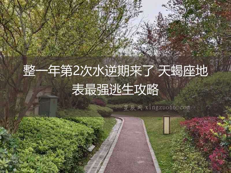 整一年第2次水逆期來了 天蝎座地表最強逃生攻略
