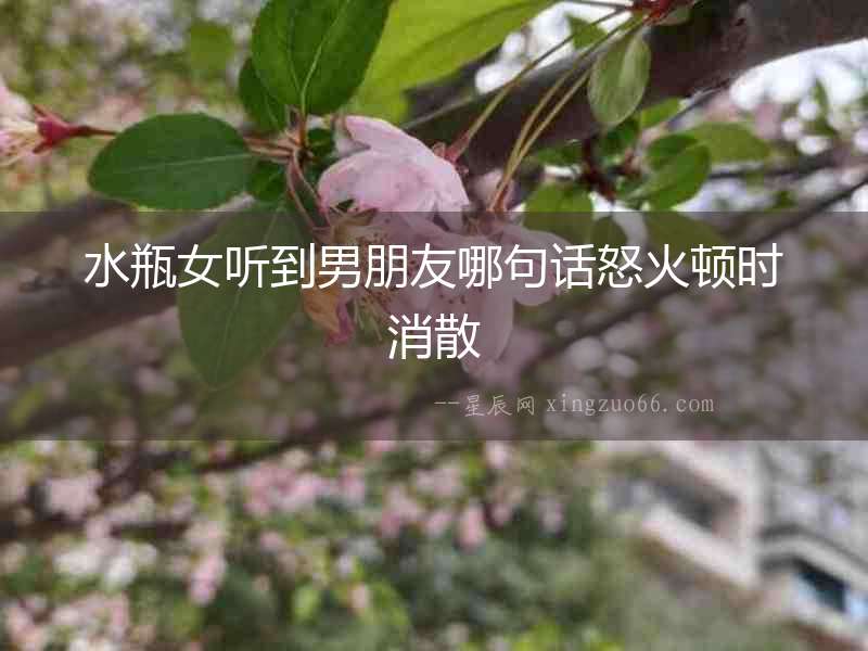 水瓶女聽到男朋友哪句話怒火頓時消散