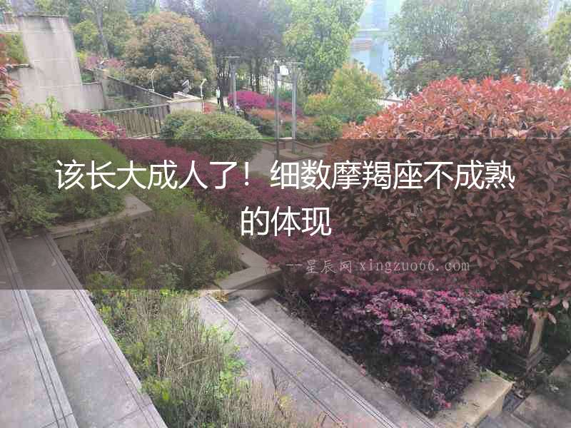 該長大成人了！細數摩羯座不成熟的體現