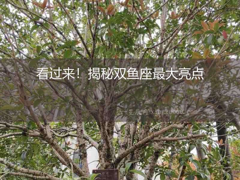 看過來！揭秘雙魚座最大亮點