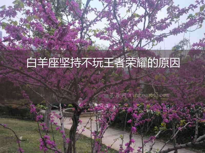 白羊座堅(jiān)持不玩王者榮耀的原因