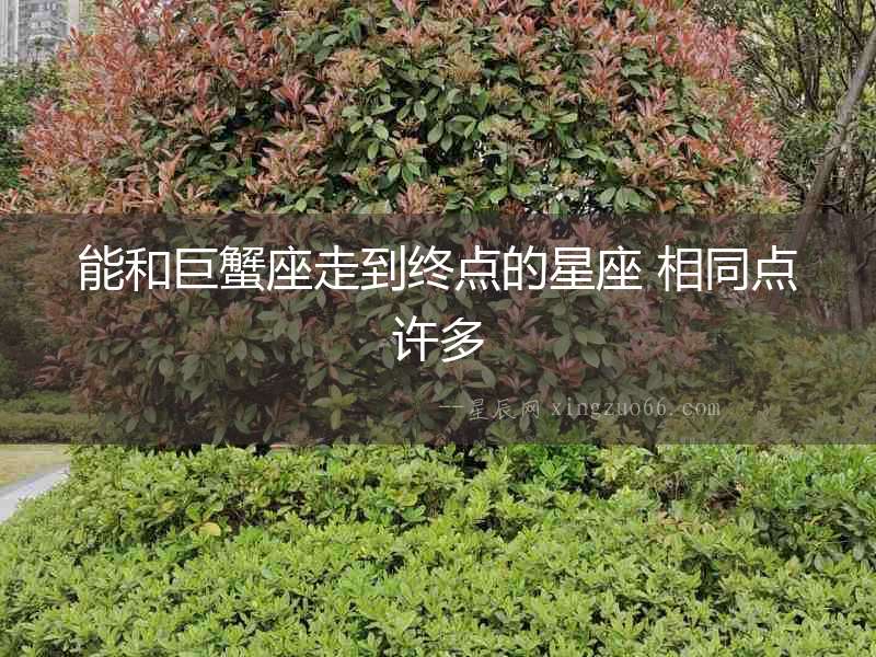 能和巨蟹座走到終點的星座 相同點許多