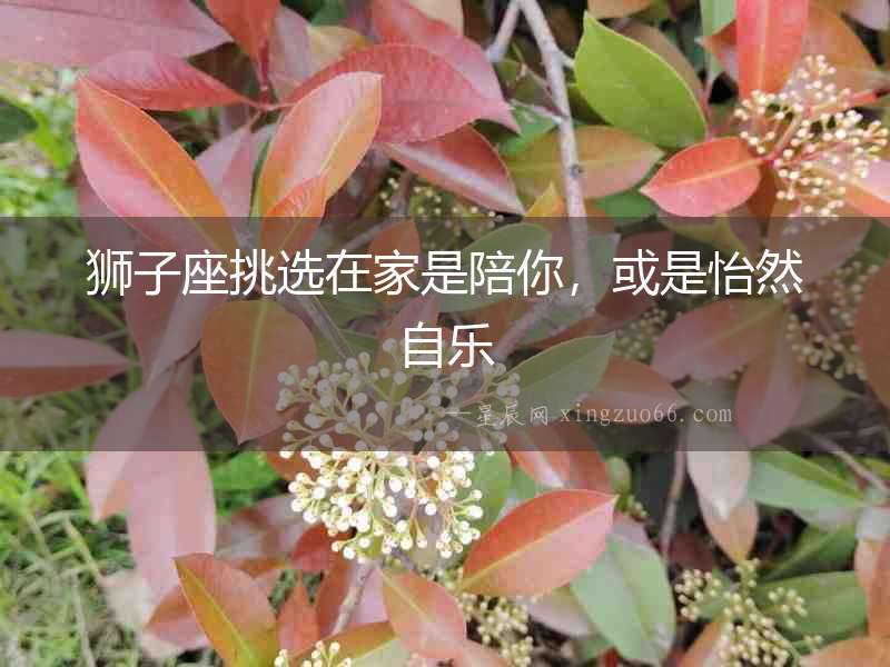 獅子座挑選在家是陪你，或是怡然自樂(lè)