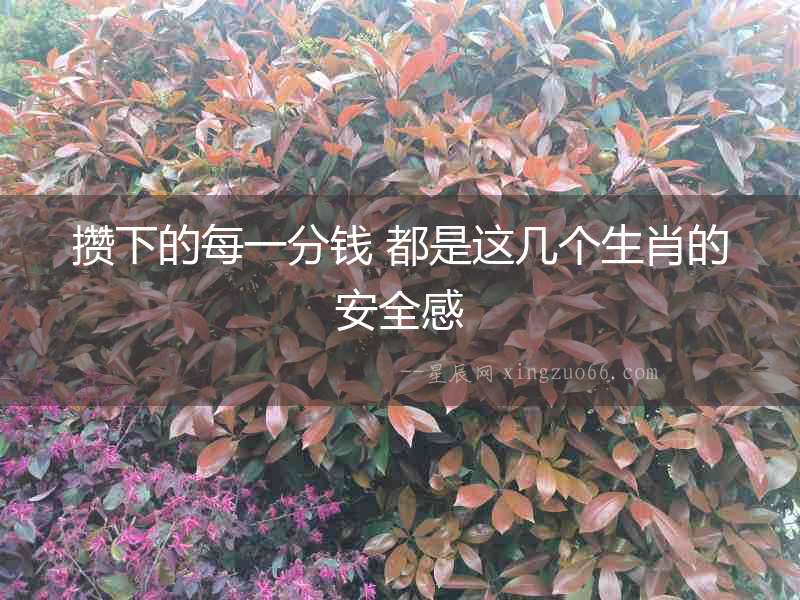 攢下的每一分錢 都是這幾個(gè)生肖的安全感