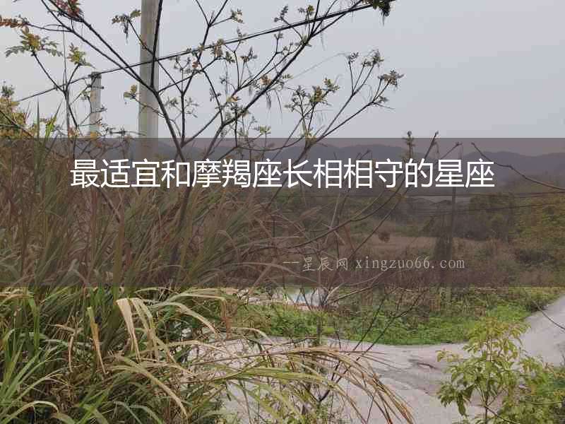 最適宜和摩羯座長相相守的星座