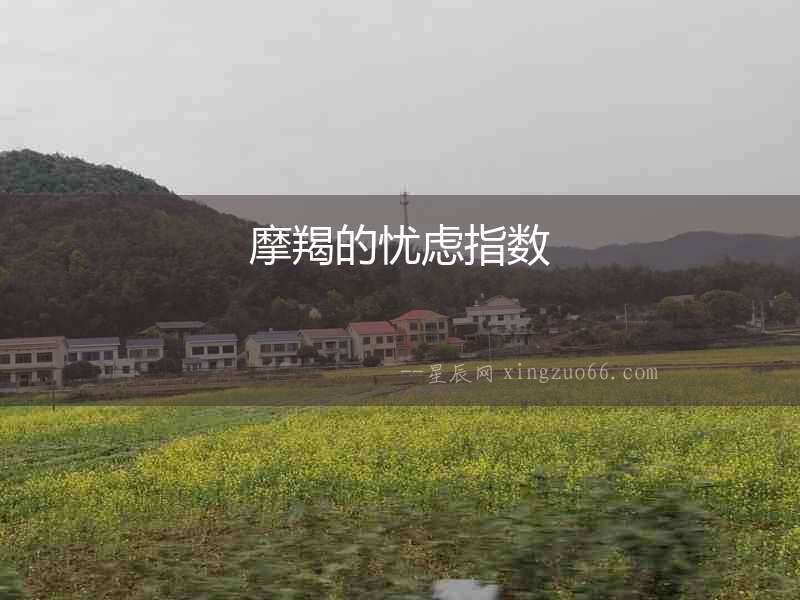 摩羯的憂慮指數(shù)