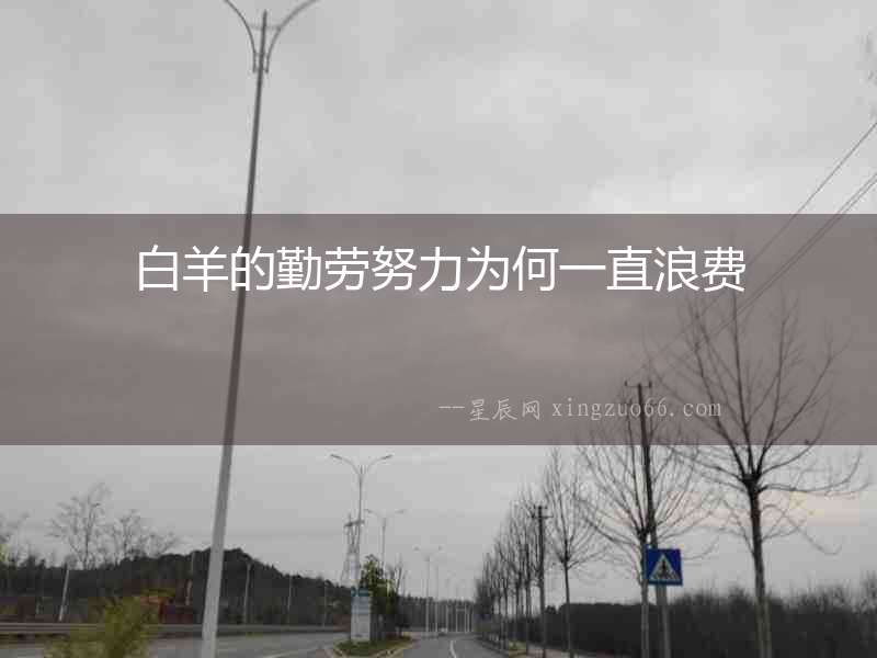 白羊的勤勞努力為何一直浪費