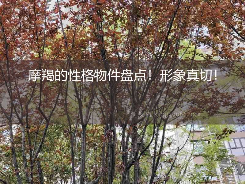 摩羯的性格物件盤點(diǎn)！形象真切！