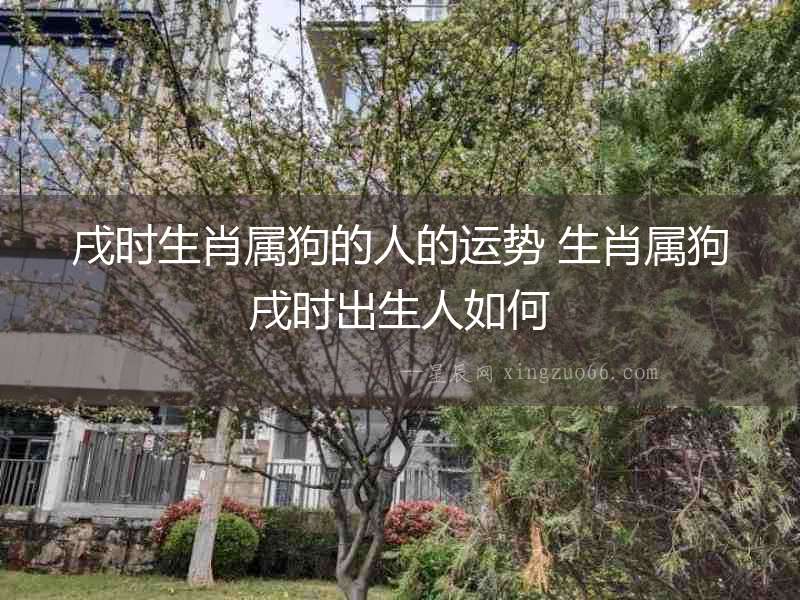 戌時生肖屬狗的人的運勢 生肖屬狗戌時出生人如何