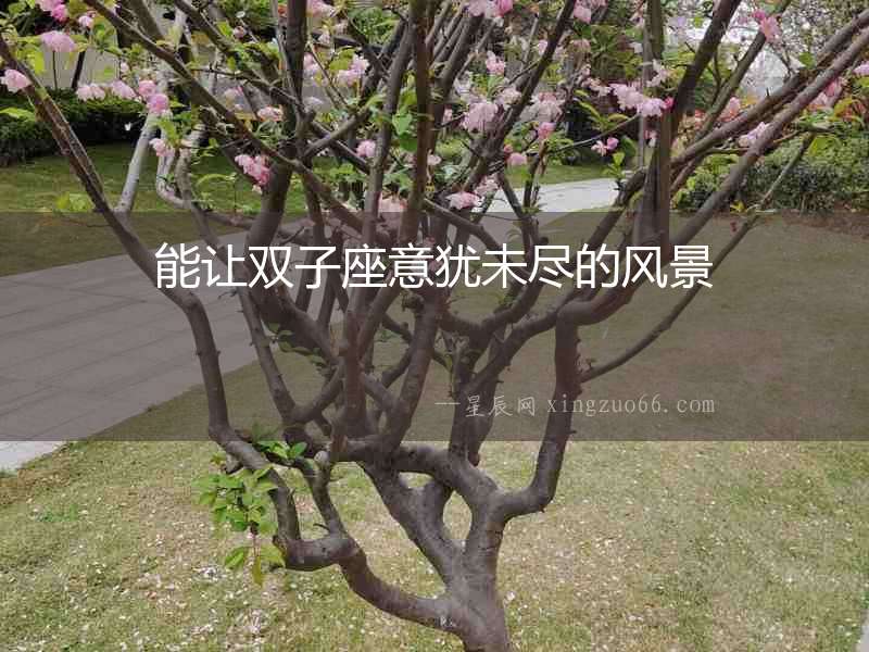 能讓雙子座意猶未盡的風(fēng)景