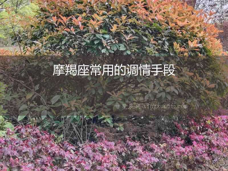 摩羯座常用的調情手段