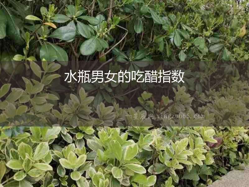水瓶男女的吃醋指數(shù)