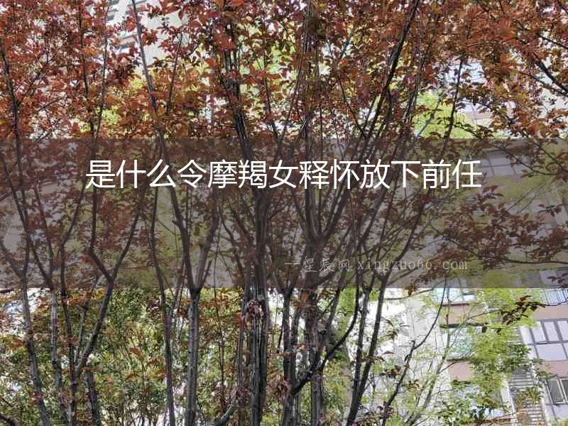 是什么令摩羯女釋?xiě)逊畔虑叭? alt=