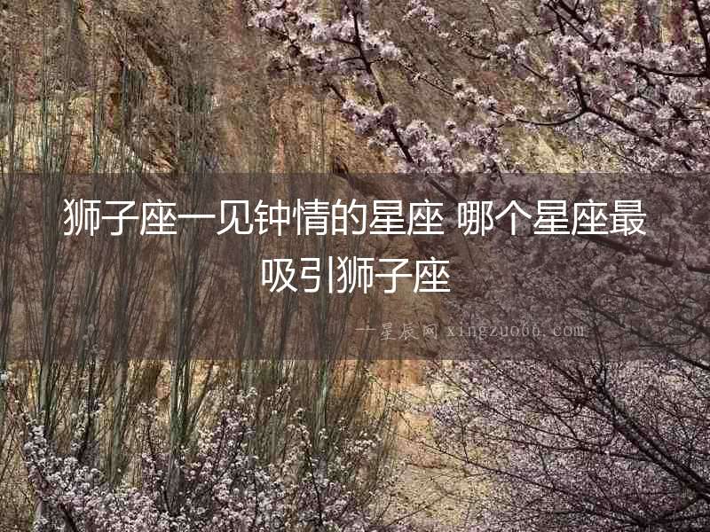 獅子座一見鐘情的星座 哪個(gè)星座最吸引獅子座