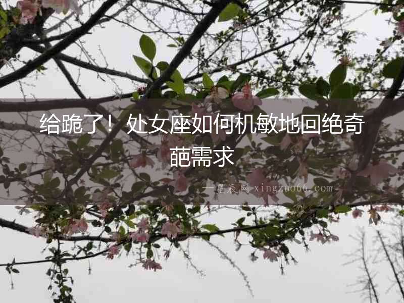 給跪了！處女座如何機敏地回絕奇葩需求