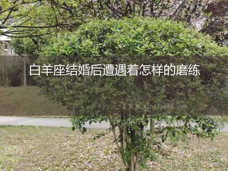 白羊座結婚后遭遇著怎樣的磨練