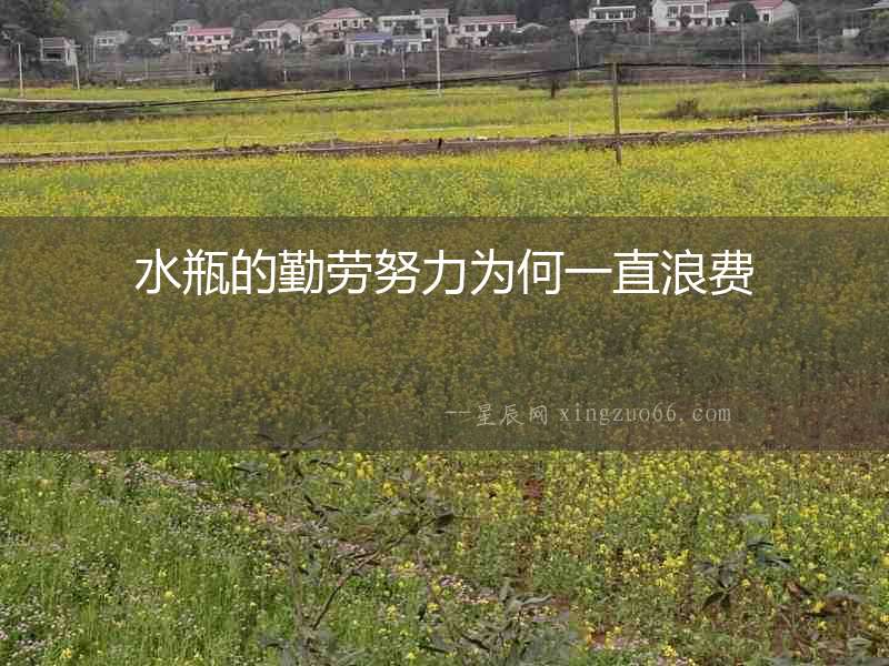 水瓶的勤勞努力為何一直浪費