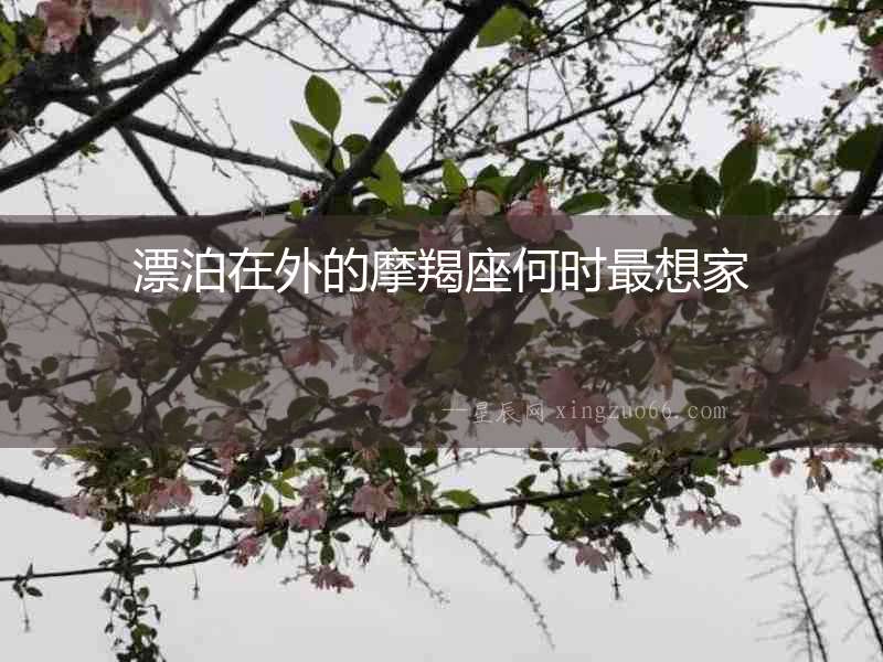 漂泊在外的摩羯座何時最想家