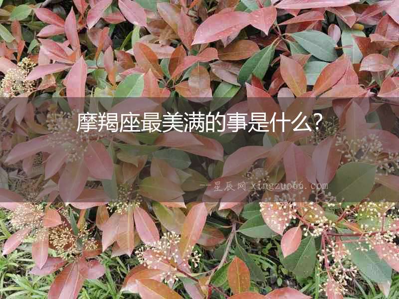 摩羯座最美滿的事是什么？