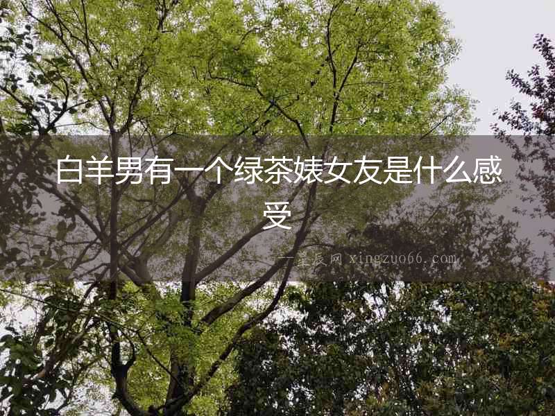 白羊男有一個綠茶婊女友是什么感受