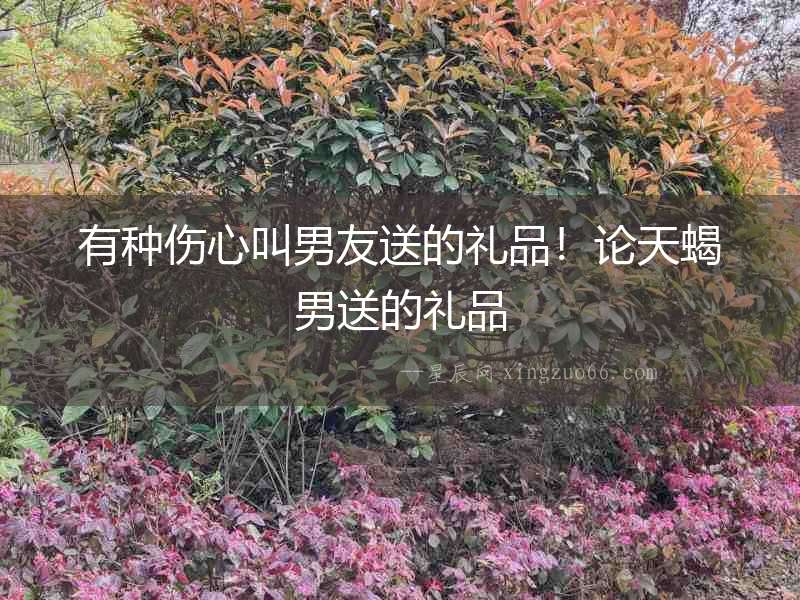 有種傷心叫男友送的禮品！論天蝎男送的禮品
