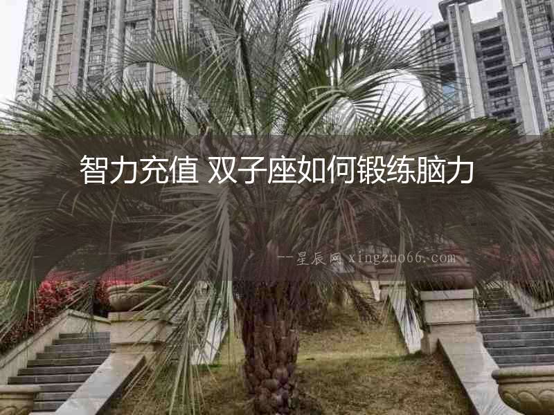 智力充值 雙子座如何鍛練腦力