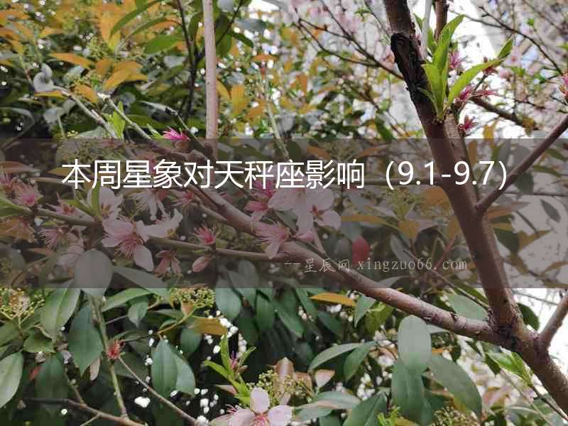 本周星象對(duì)天秤座影響（9.1-9.7）