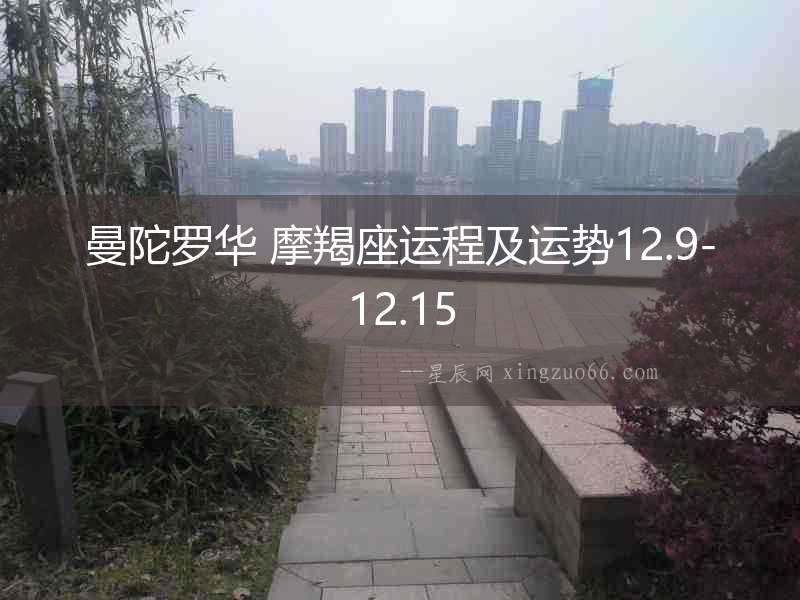 曼陀羅華 摩羯座運(yùn)程及運(yùn)勢(shì)12.9-12.15