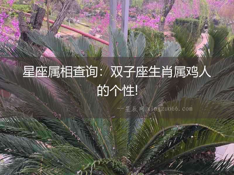 星座屬相查詢：雙子座生肖屬雞人的個性!
