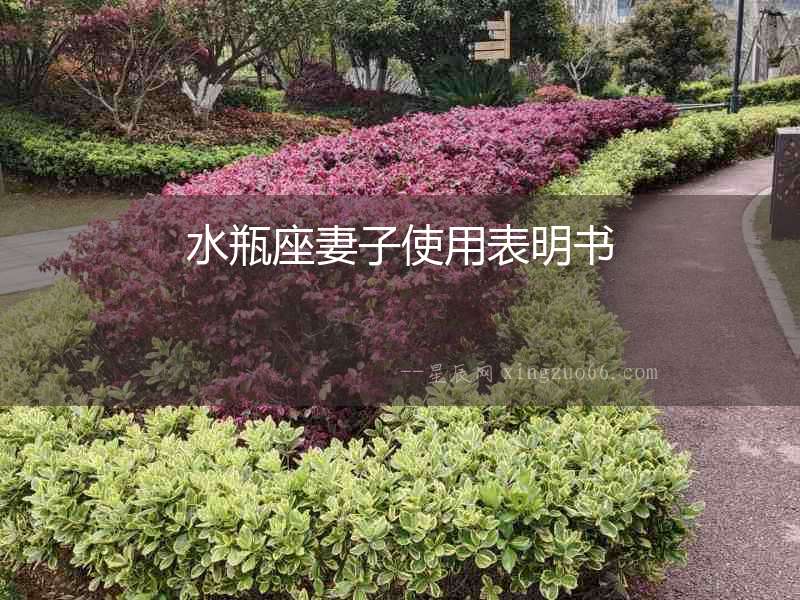 水瓶座妻子使用表明書