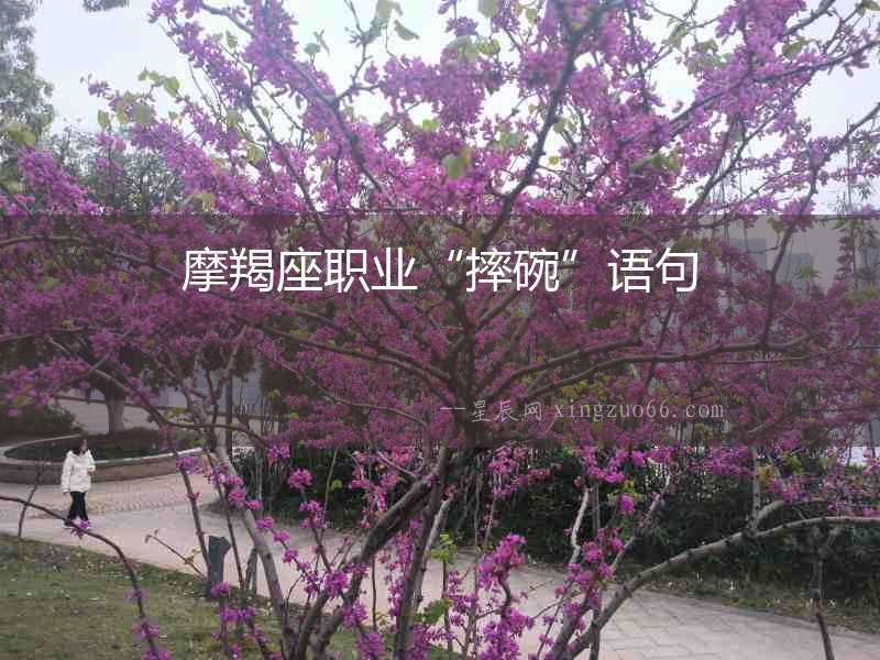 摩羯座職業“摔碗”語句