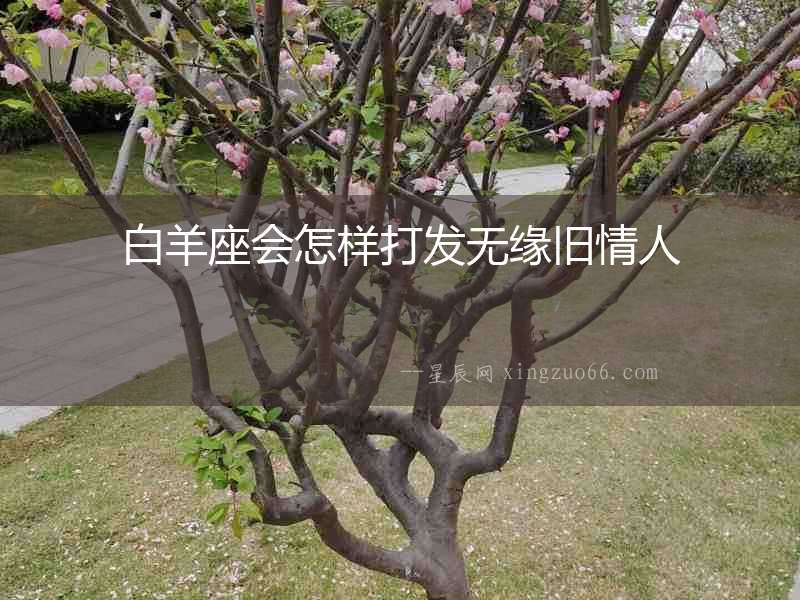白羊座會怎樣打發無緣舊情人