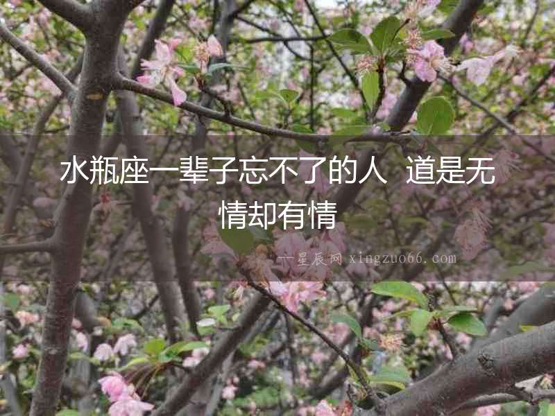 水瓶座一輩子忘不了的人  道是無(wú)情卻有情
