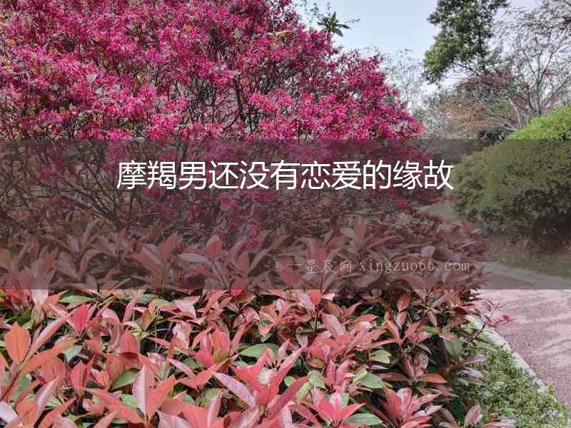 摩羯男還沒(méi)有戀愛(ài)的緣故